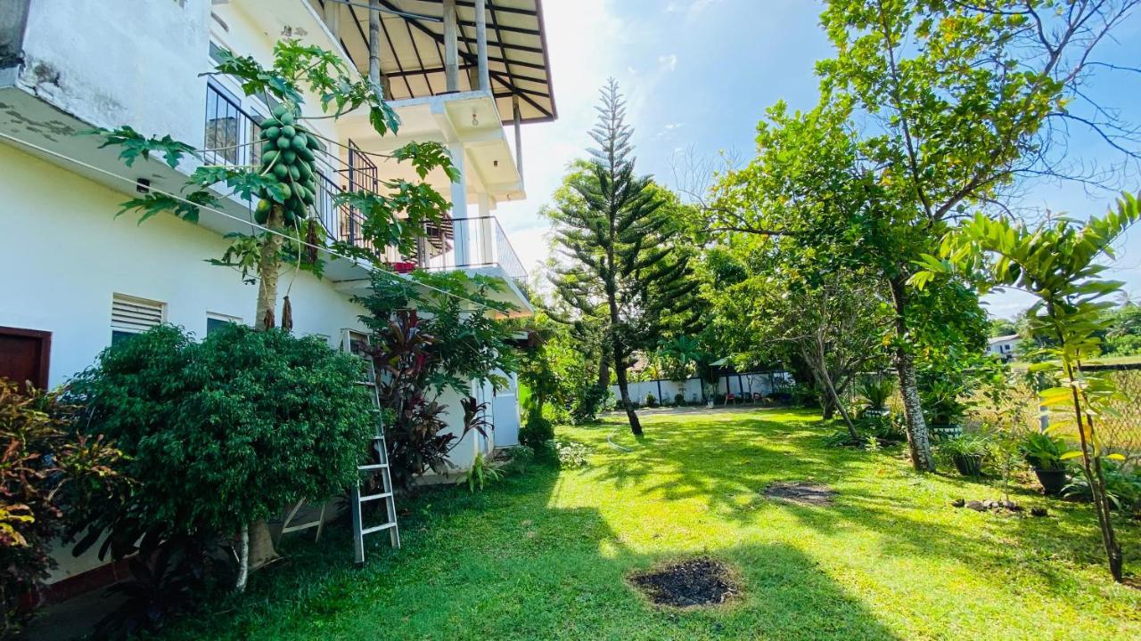 Owin Rose Yala Safari Hotel Tissamaharama Exterior photo